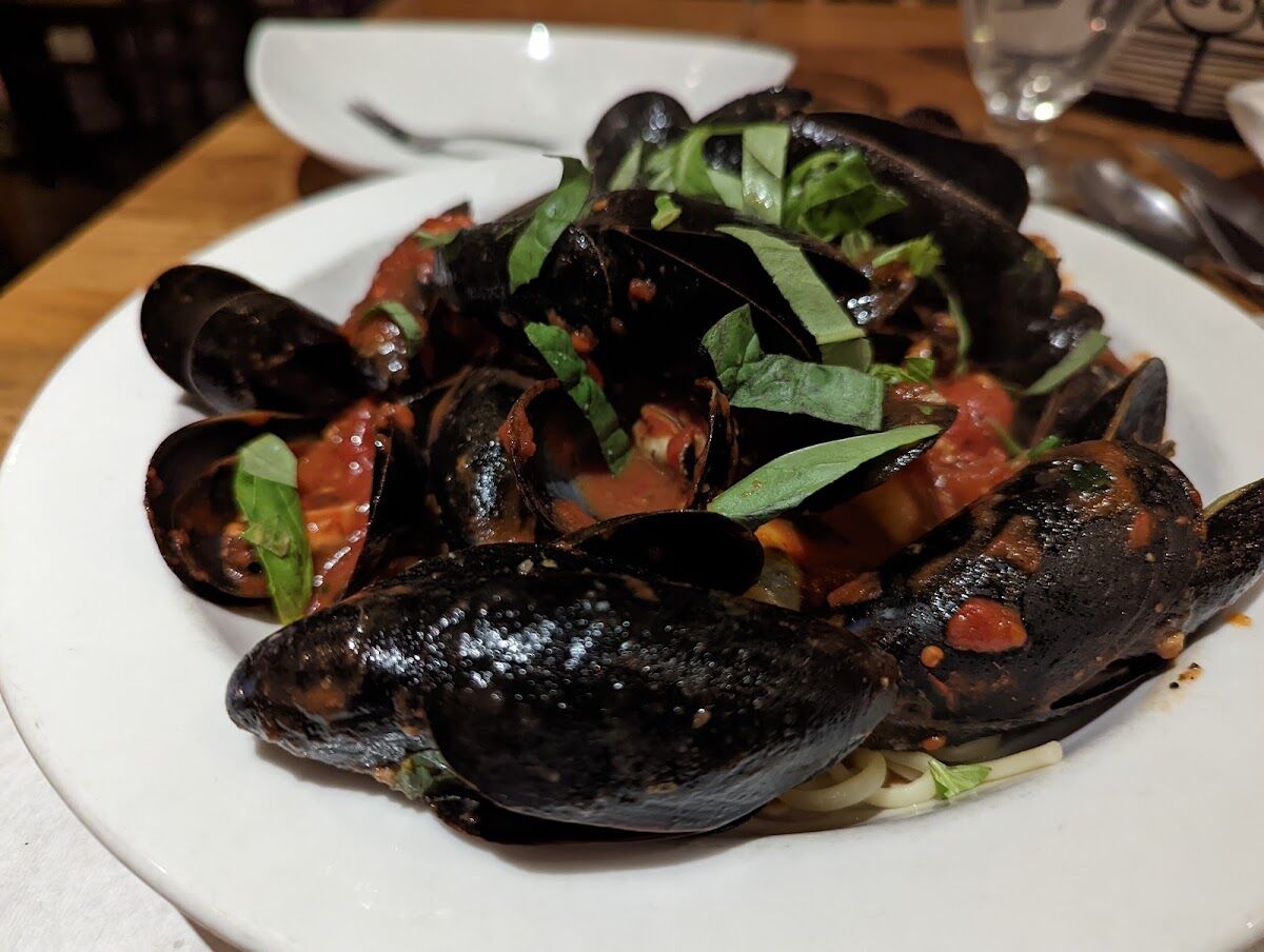 Mussels in tomato basil sauce